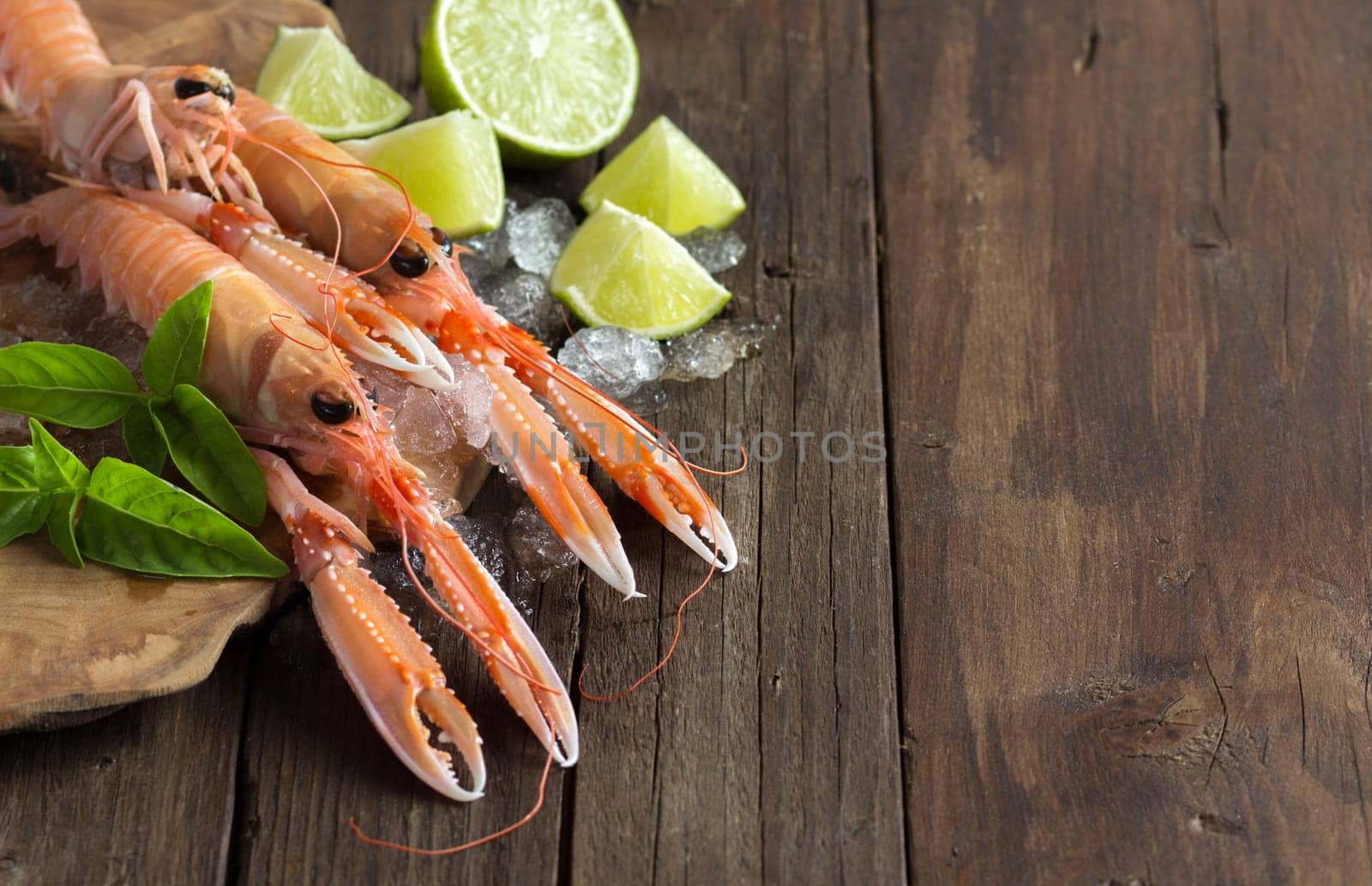 Raw langoustine on ice with lime and basil on wood