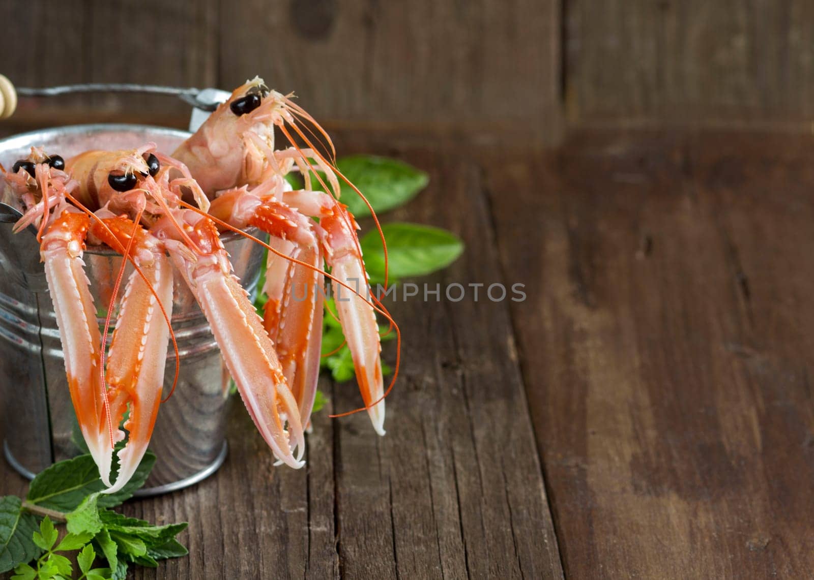 Raw langoustine in a bucket with herbs on wood