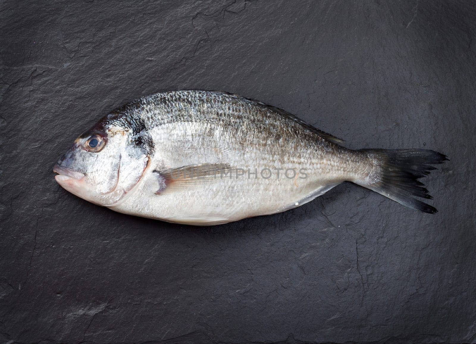 Fresh dorado fish on a dark vintage background