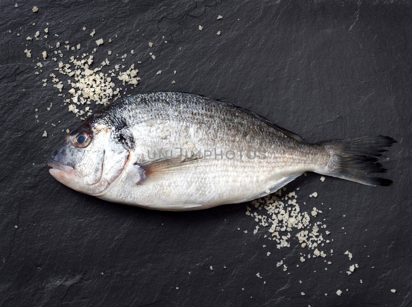 Fresh dorado fish on dark vintage background