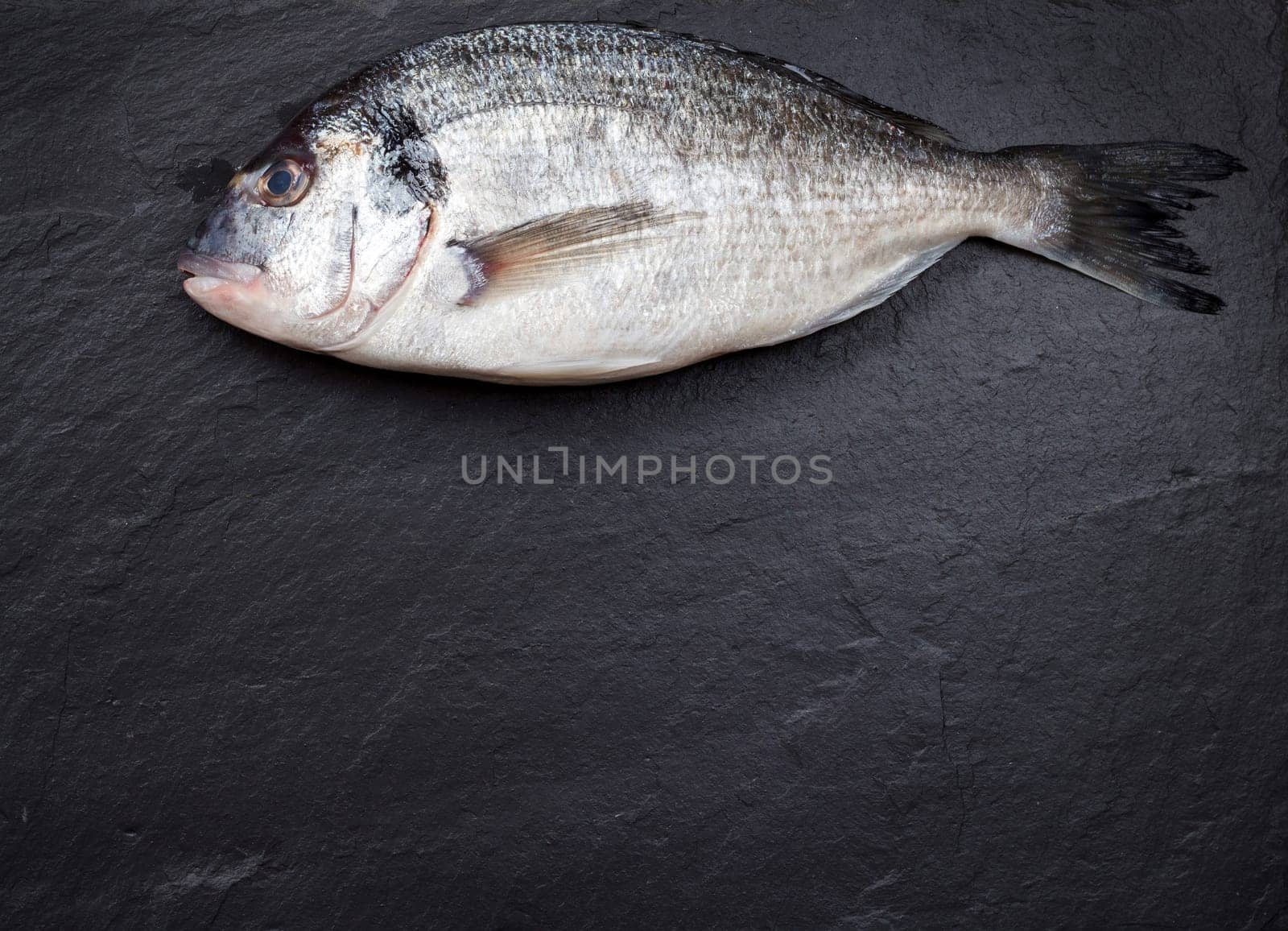 Fresh dorado fish on a dark vintage background