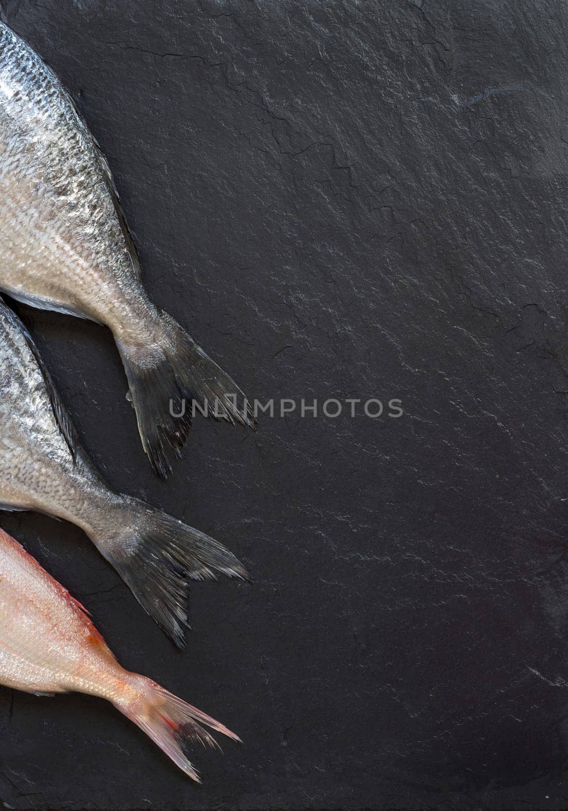 Fresh fish on a dark vintage background