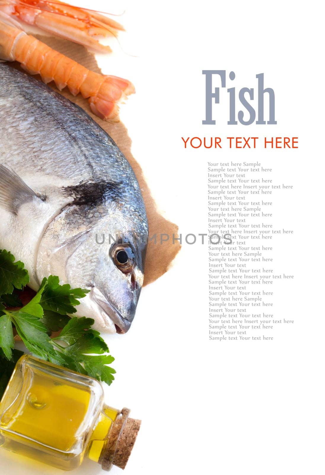 Fresh dorado fish, olive oil and scampi on a white background