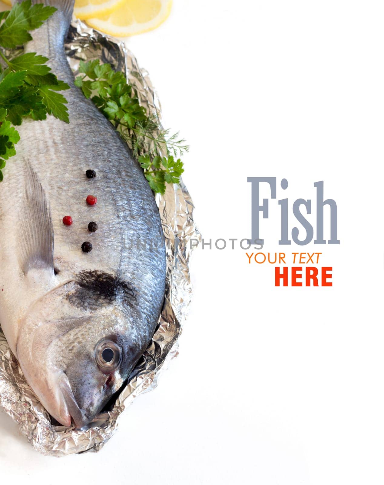 Fresh dorado fish isolated on white border