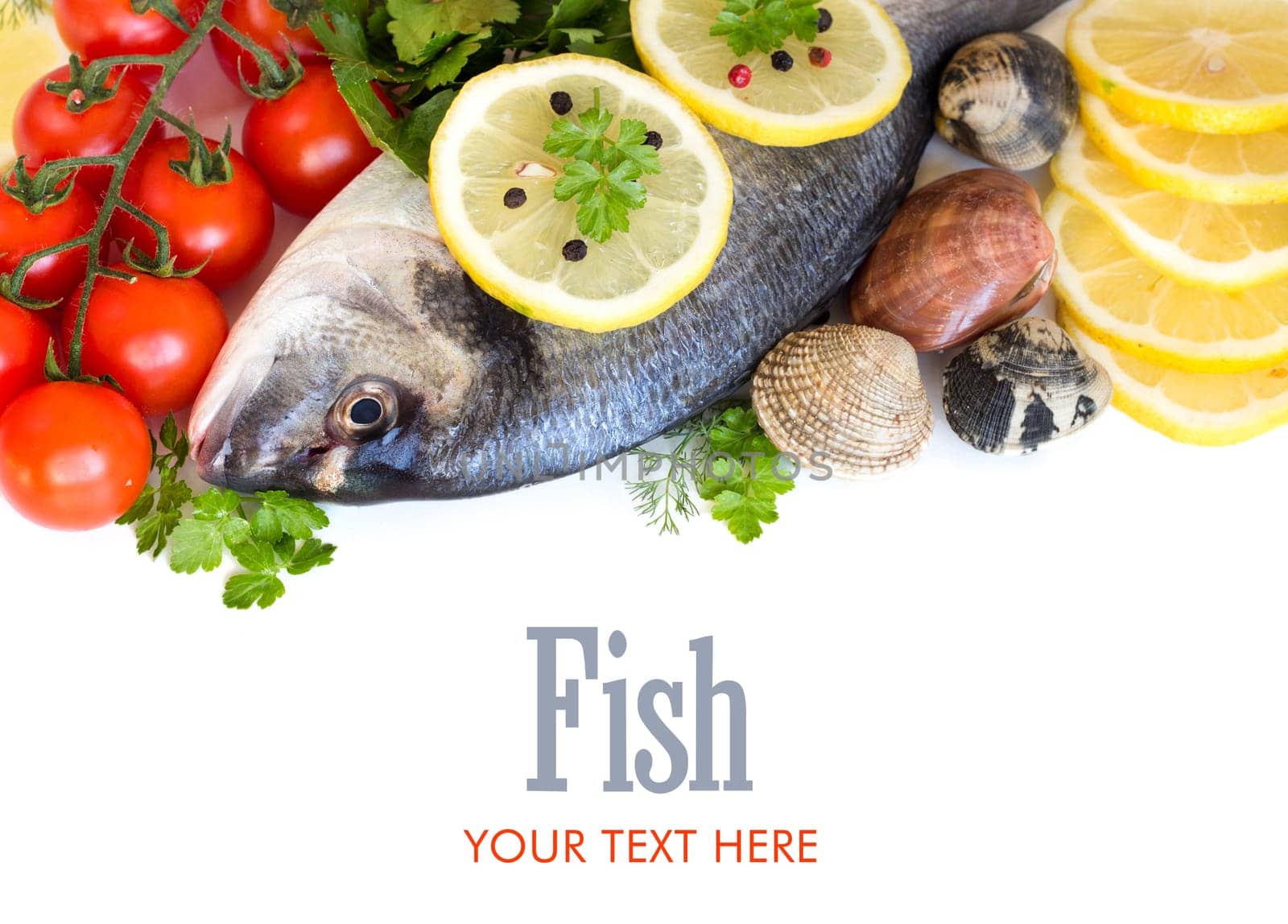 Fresh dorado fish, seafood and vegetables on a white background