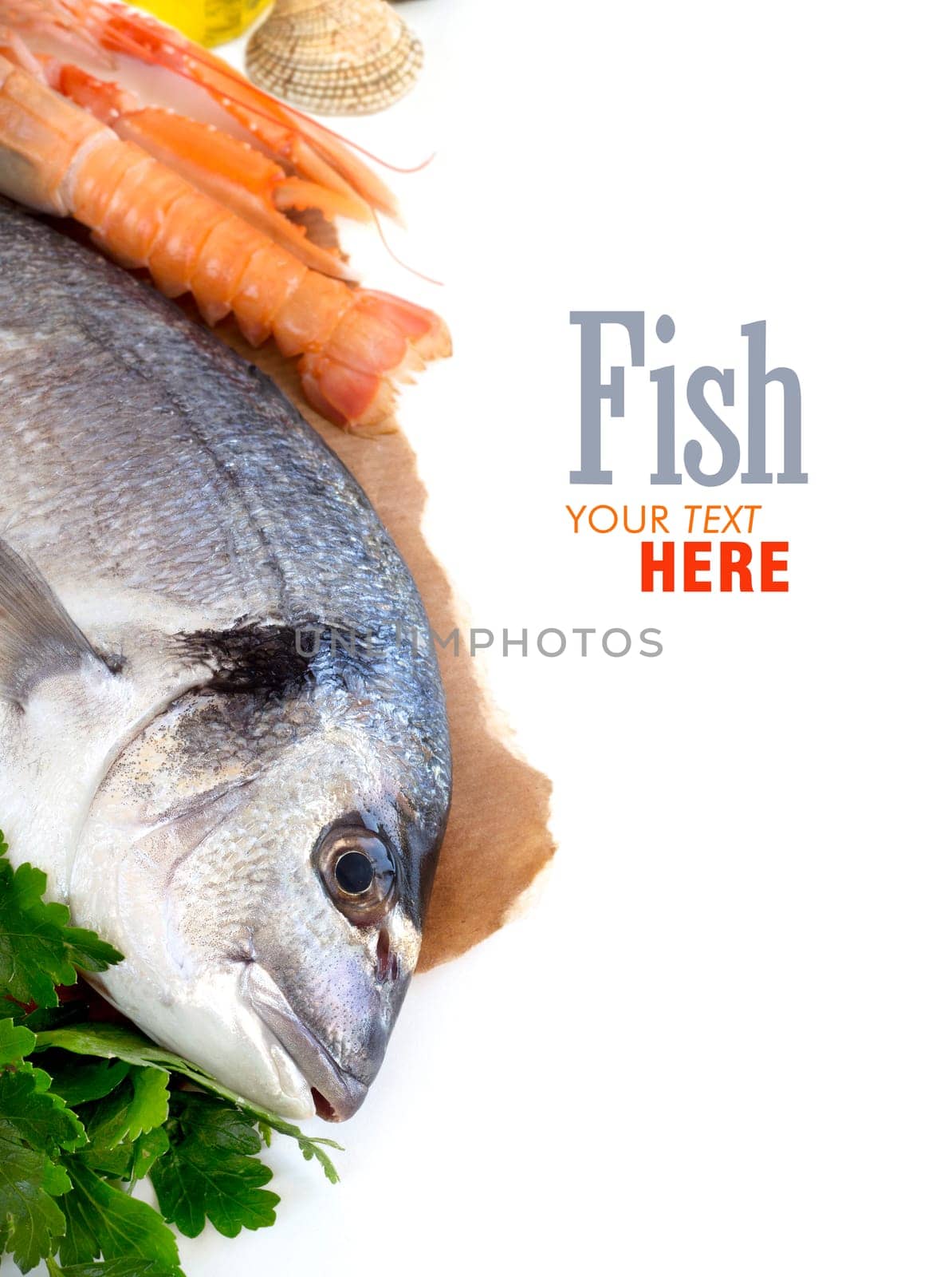 Fresh dorado fish and seafood on a white background