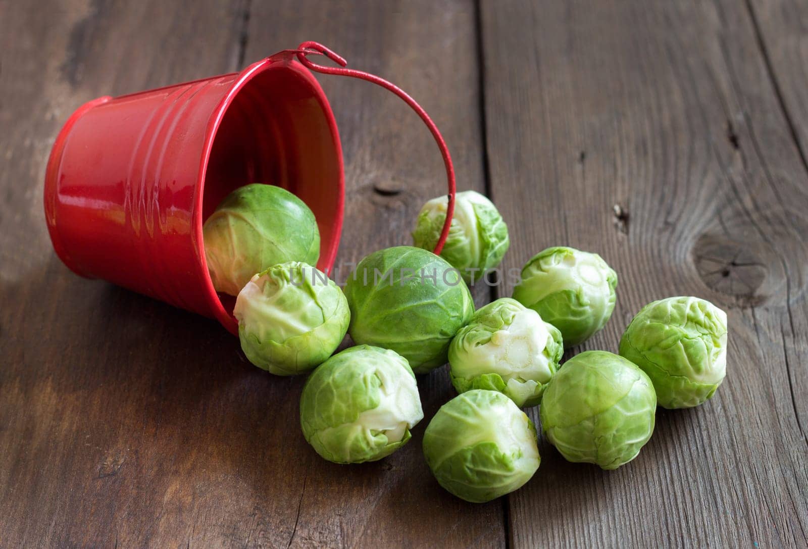 Brussels sprouts in a bucket on an old wooden table