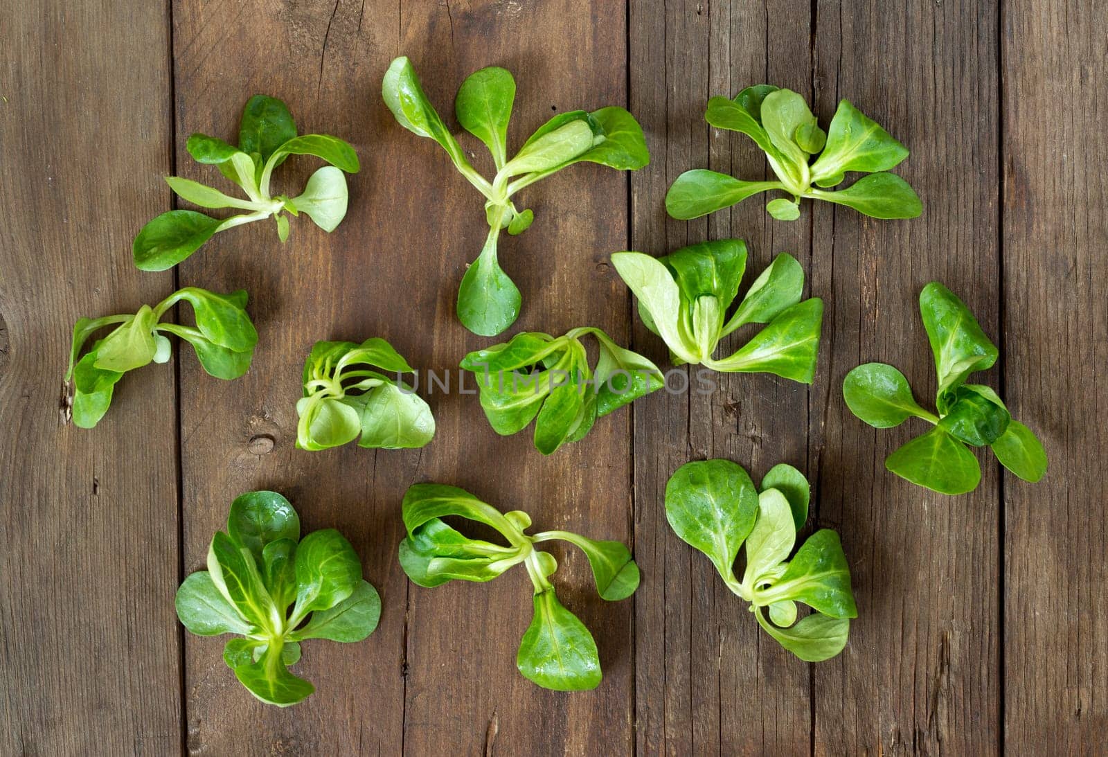 Field salad on the old wooden table top view