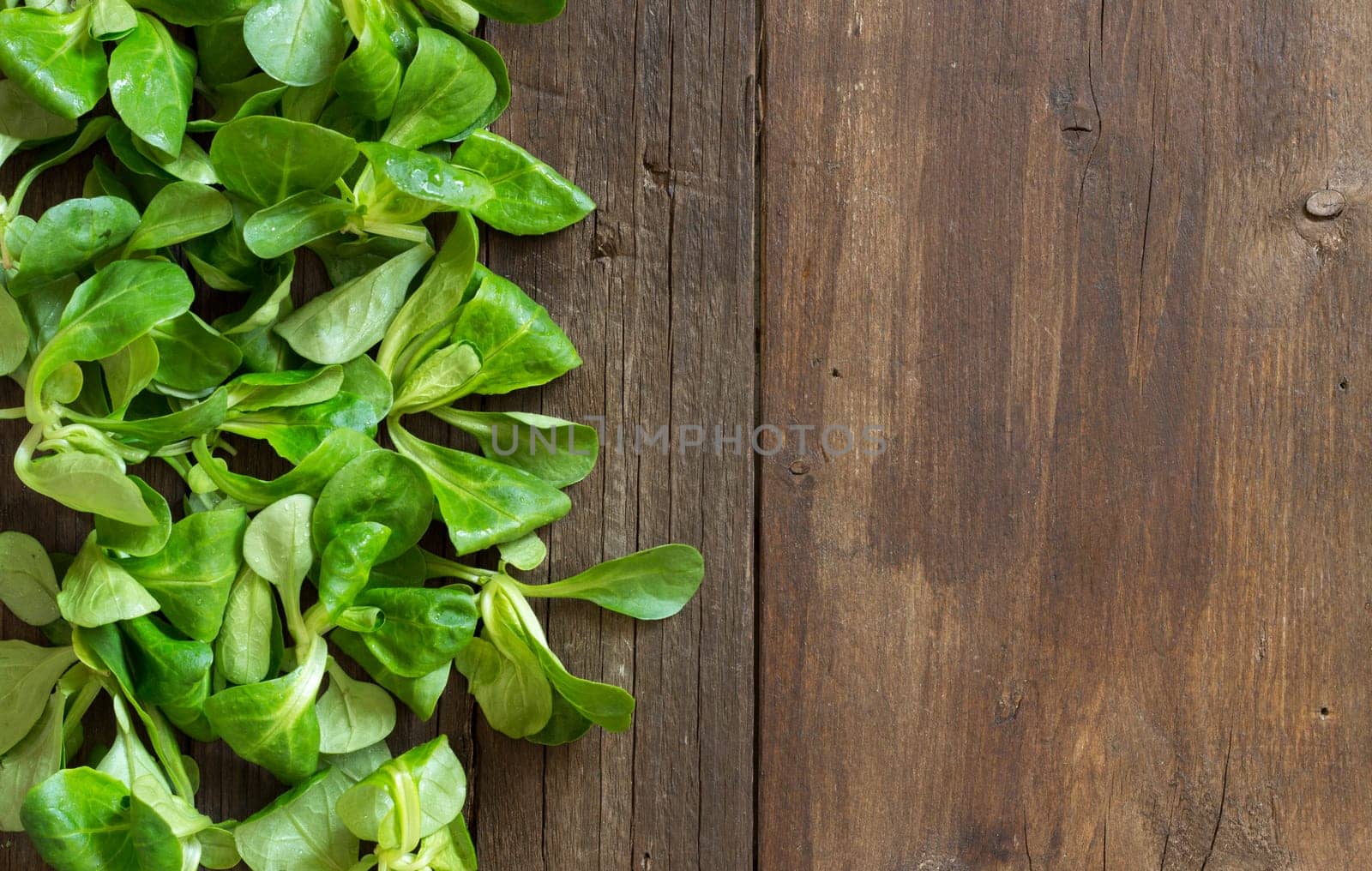 Field salad on the old wooden table top view