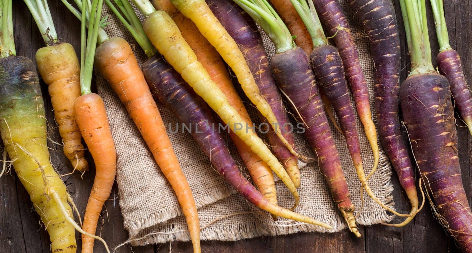 Fresh organic rainbow carrots on a wooden table