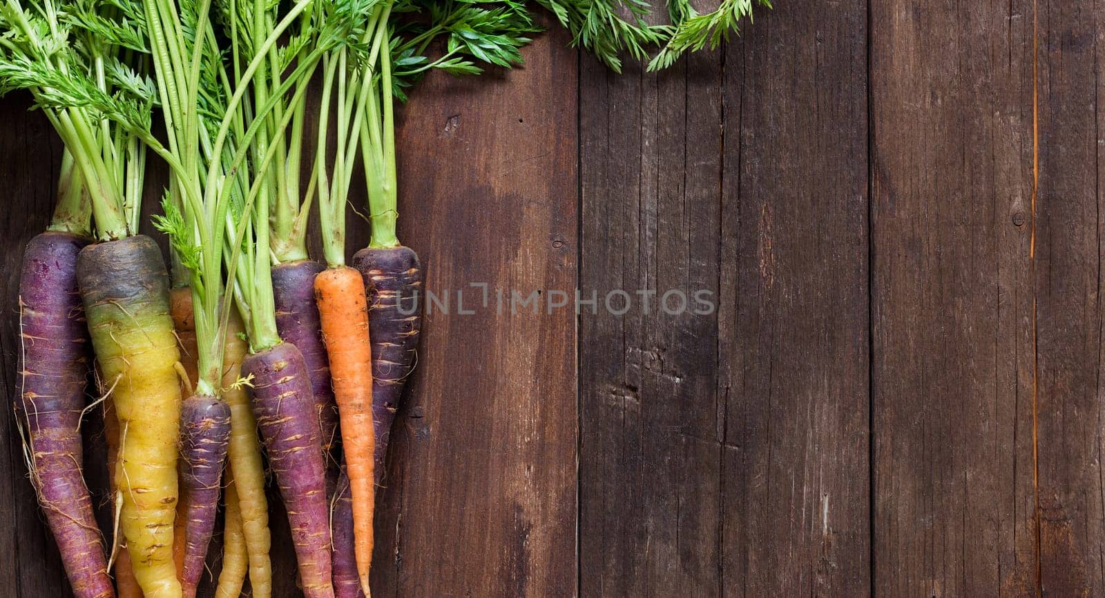 Fresh organic rainbow carrots with leaves on a wooden table