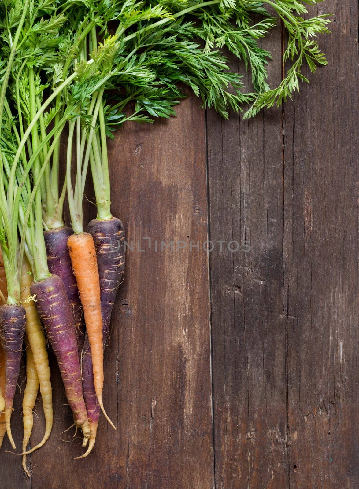 Fresh organic rainbow carrots on a wooden table