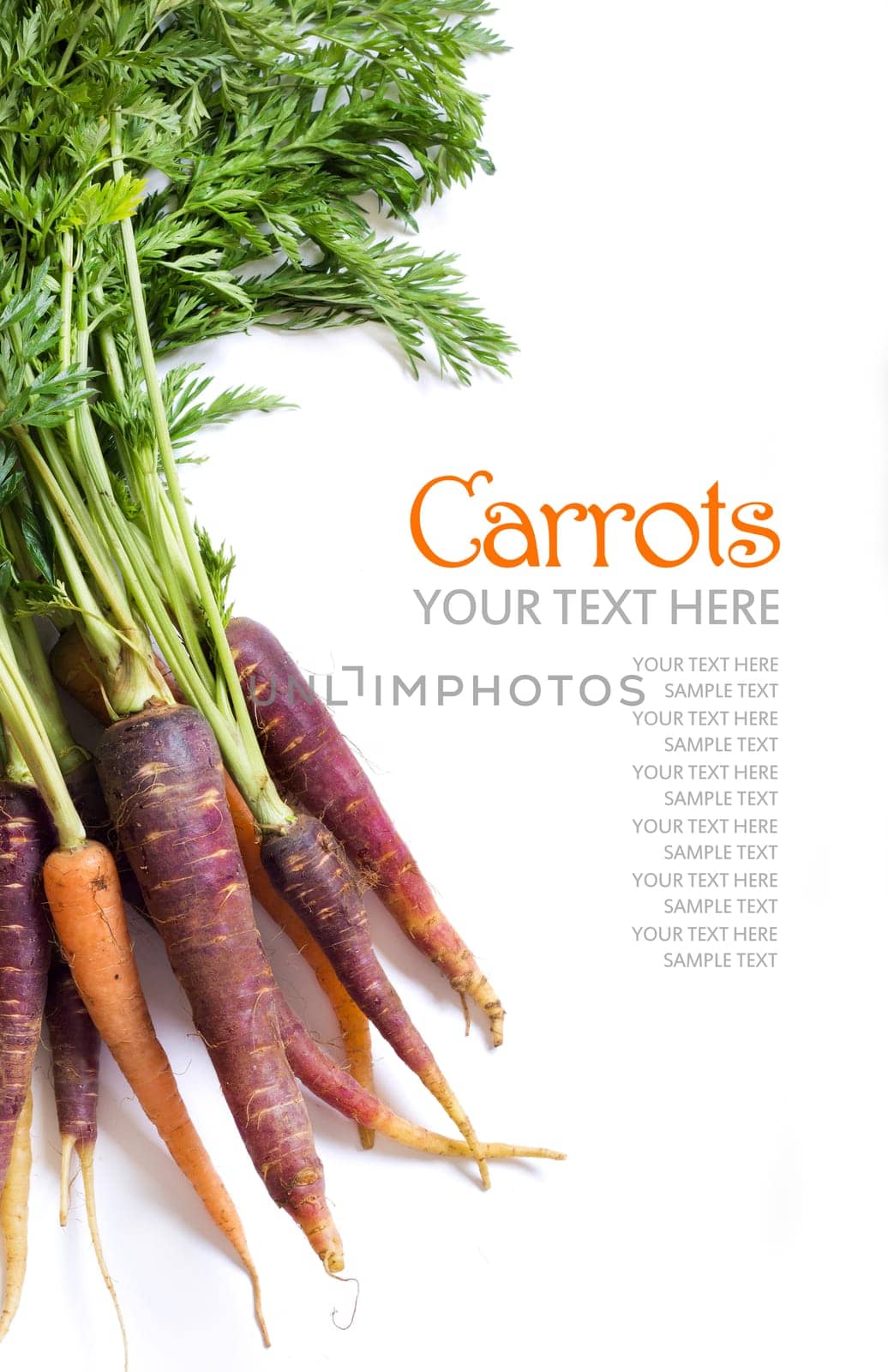 Fresh organic rainbow carrots isolated on white