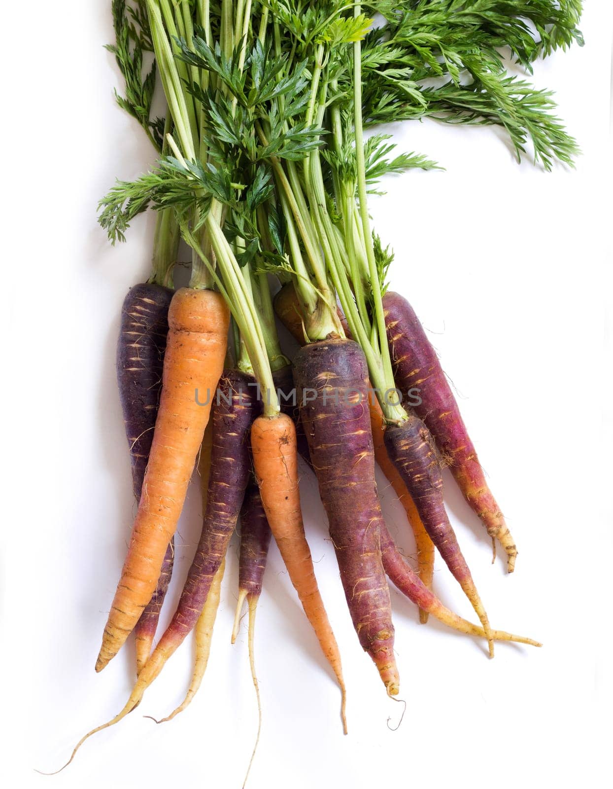 Bunch of fresh organic rainbow carrots isolated on white