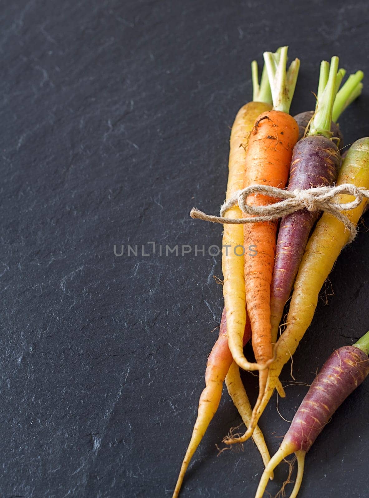 Bunch of fresh organic rainbow carrots on a dark background