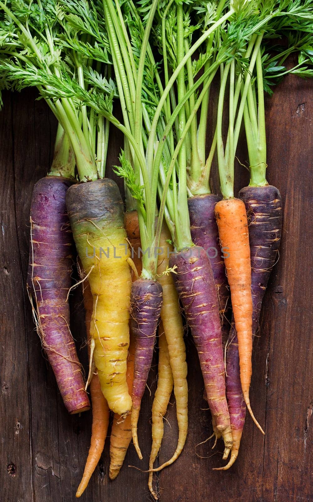 Fresh organic rainbow carrots with leaves on a wooden table