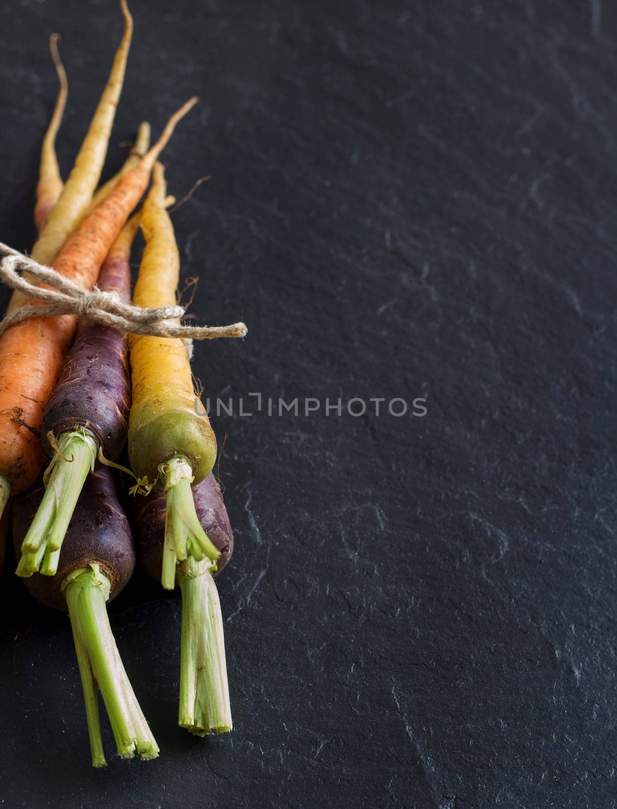 Fresh organic rainbow carrots on a dark background