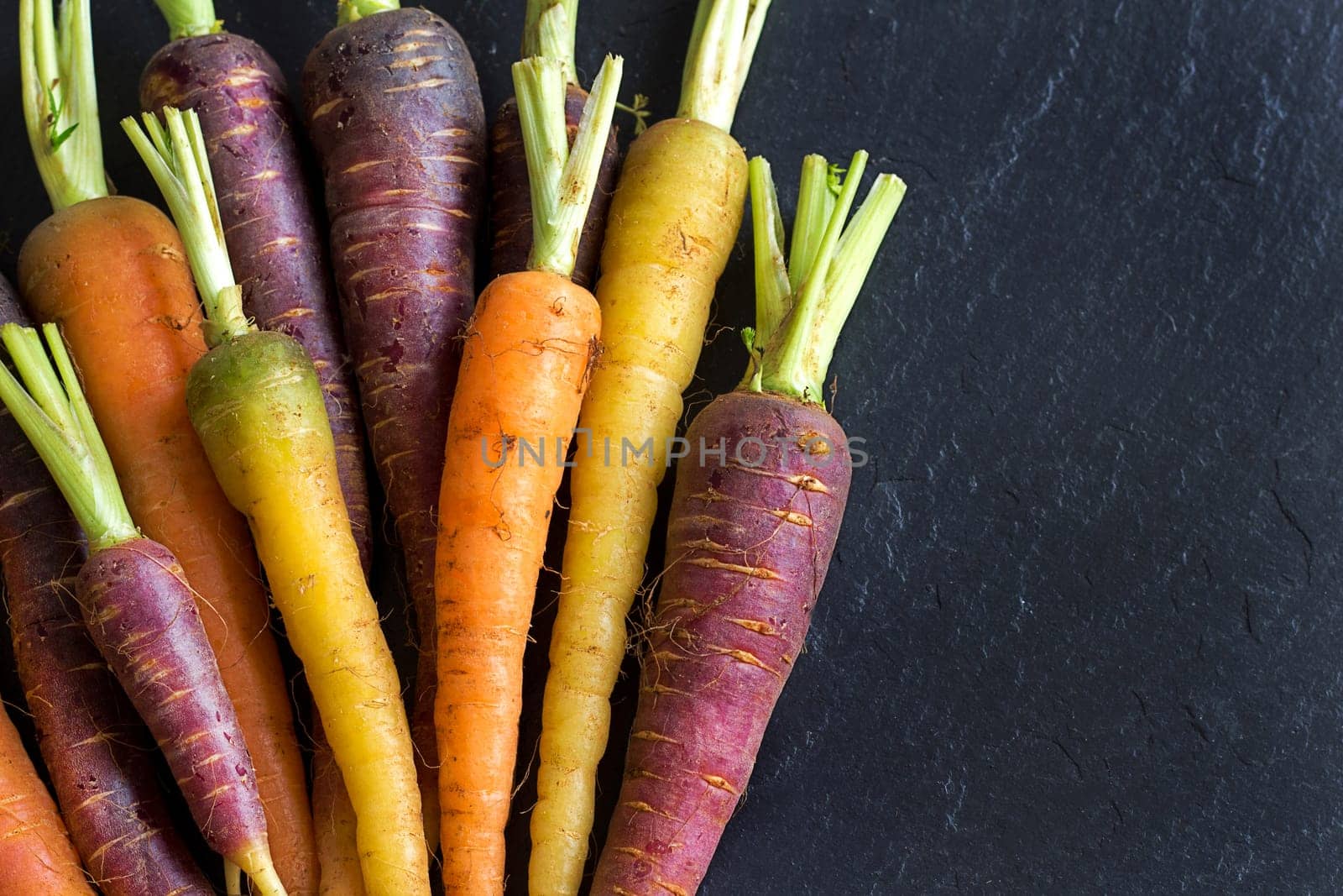 Fresh organic rainbow carrots on a dark background