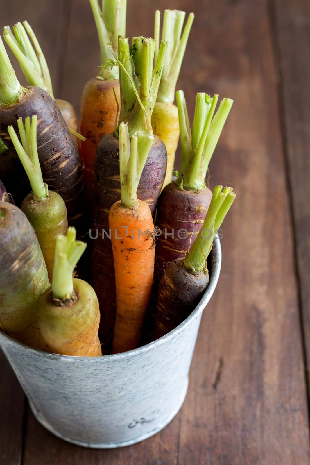 Fresh organic rainbow carrots in a bucket on a wooden table