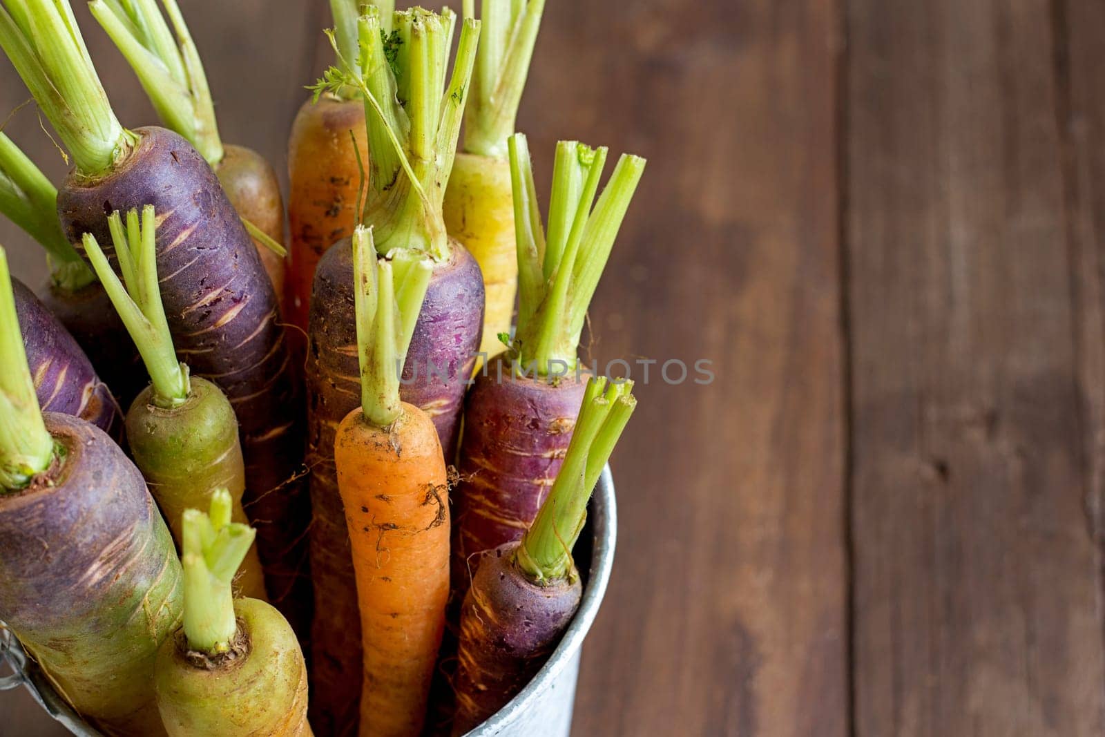 Fresh organic rainbow carrots in a bucket on a wooden table