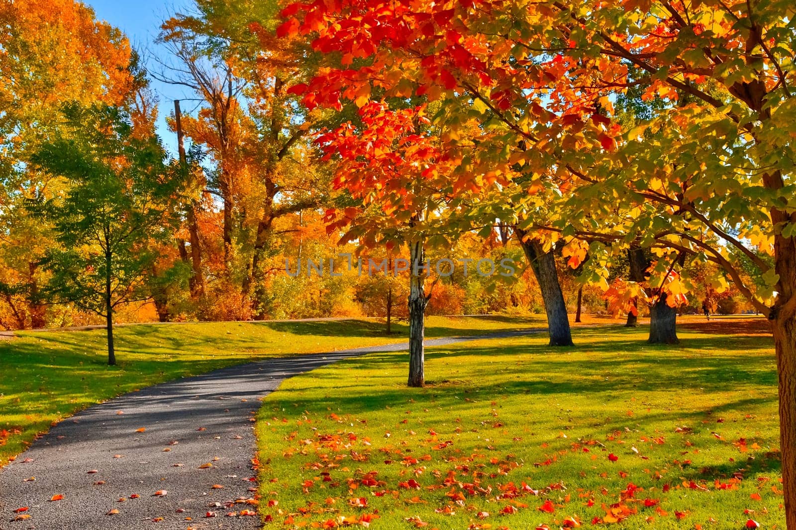Autumn colors