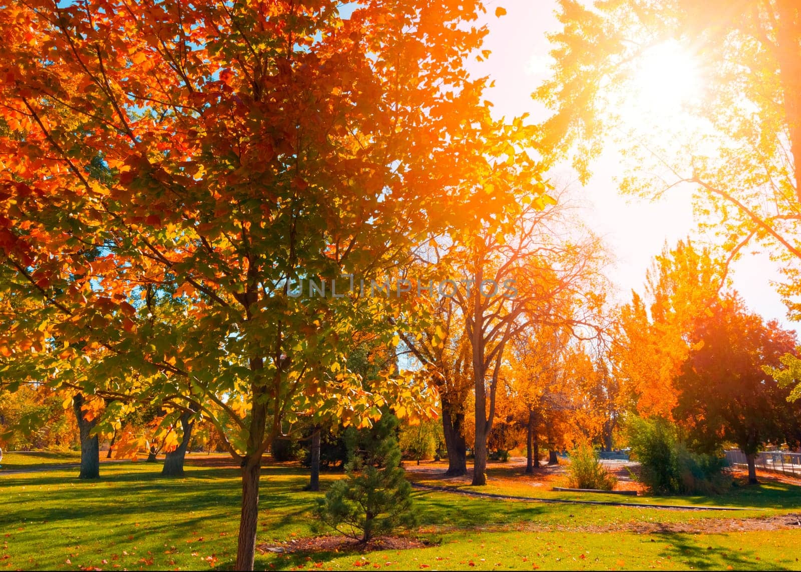 Autumn colors