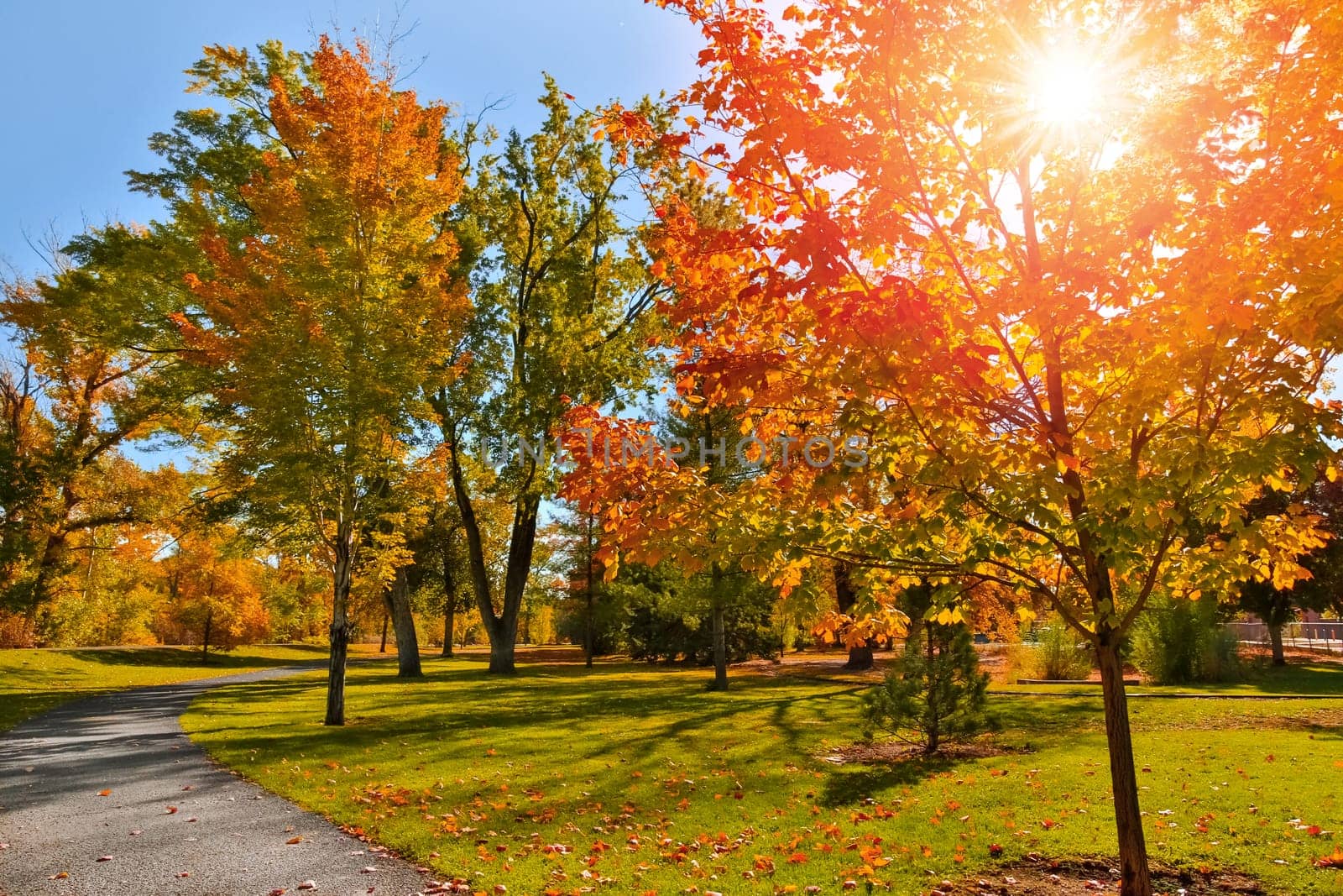 Autumn colors