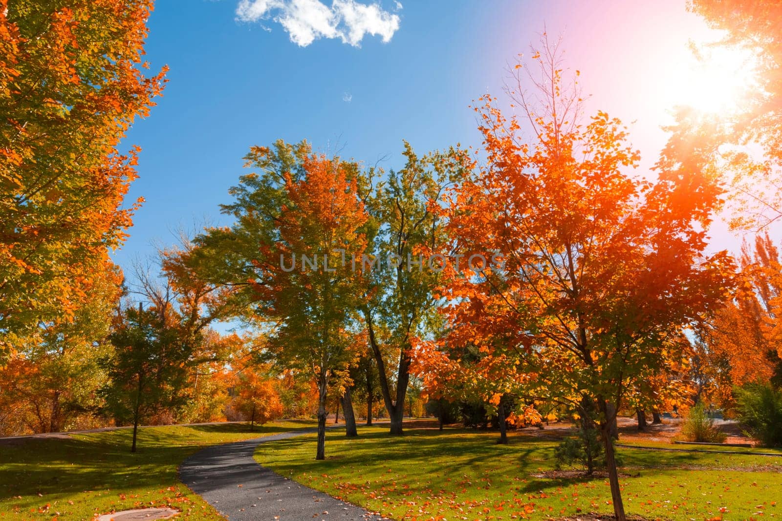 Autumn colors