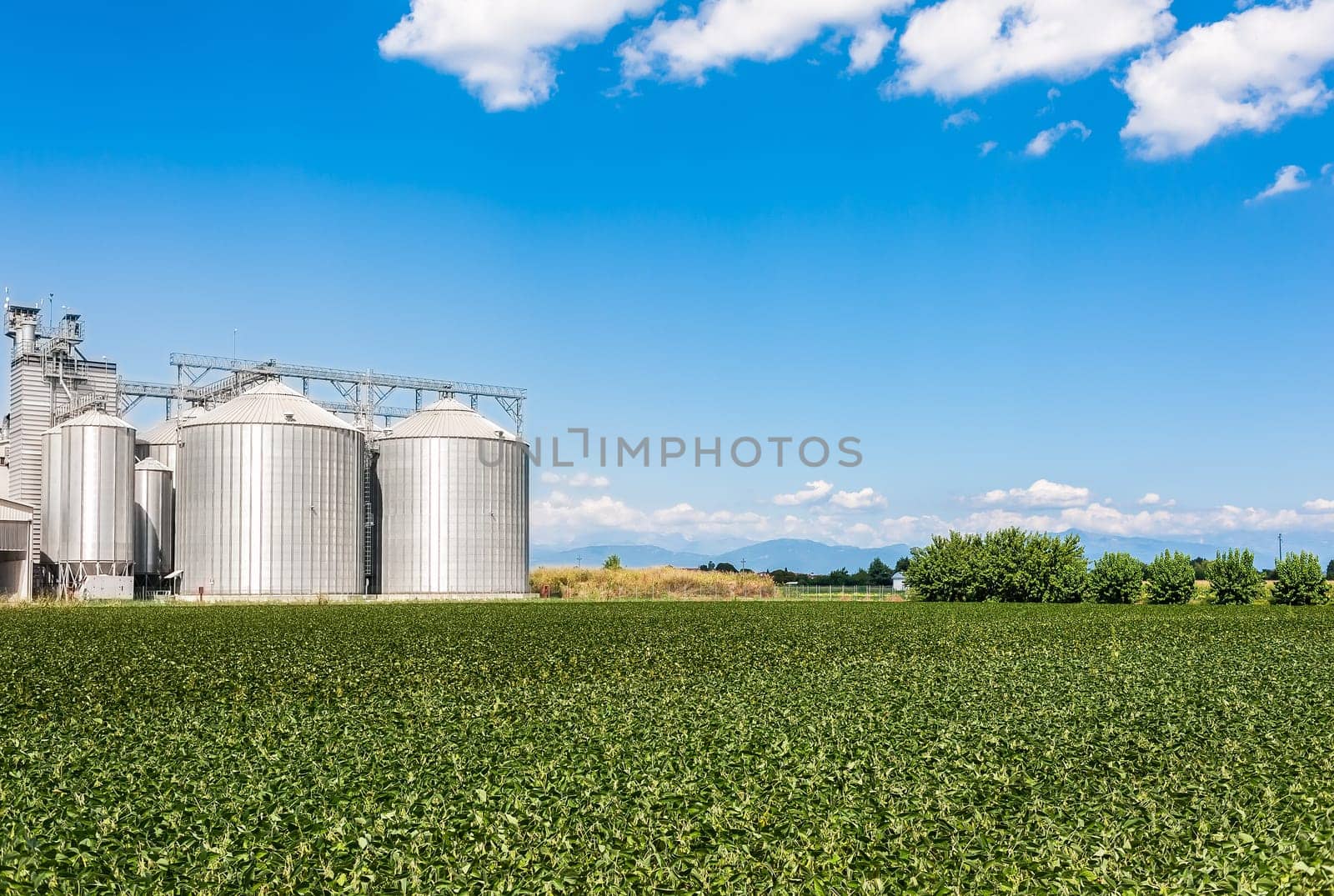 Soybean field and drying plant and silos