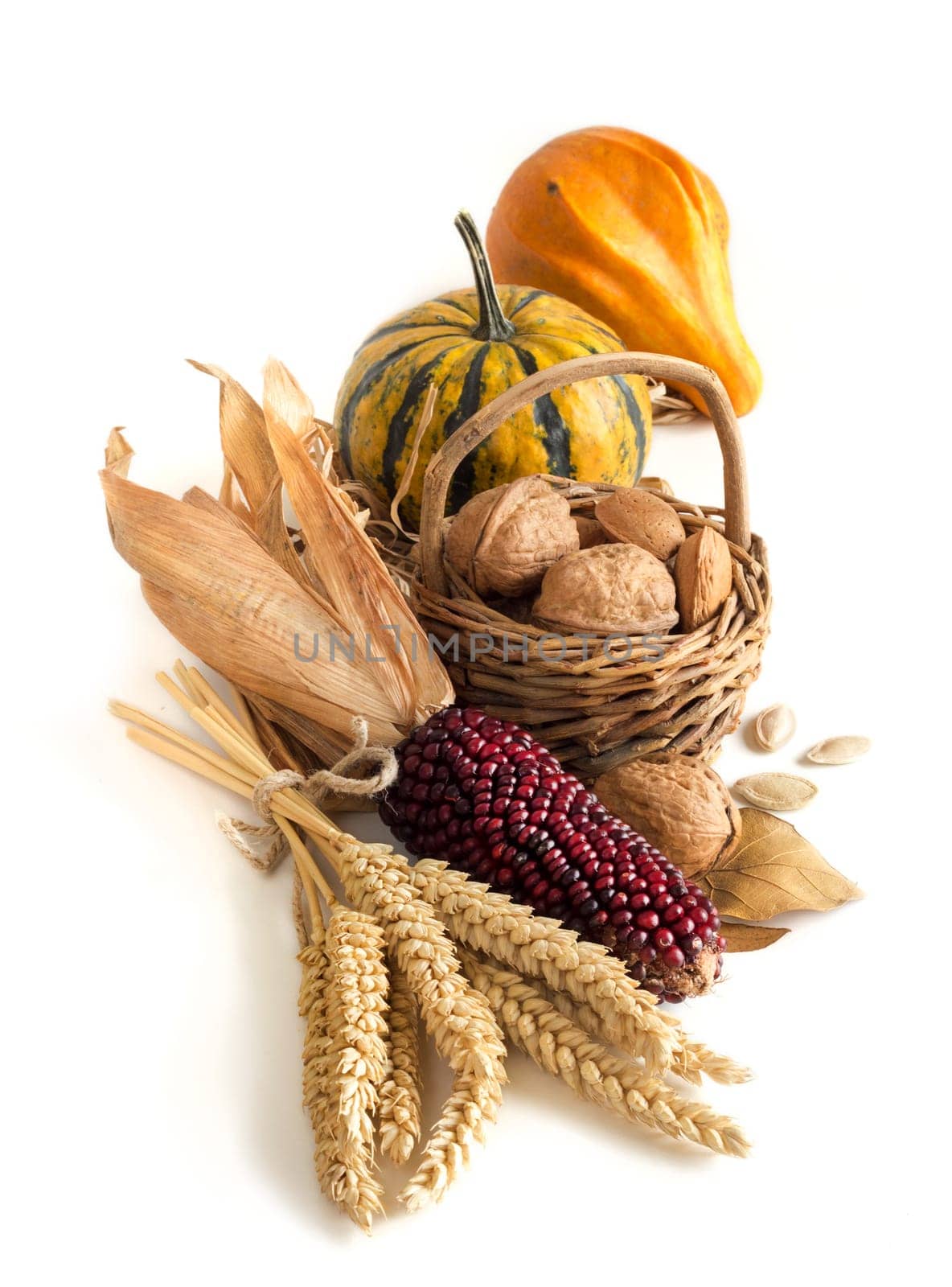 Harvest composition with corn, pumpkins, leaves and nuts