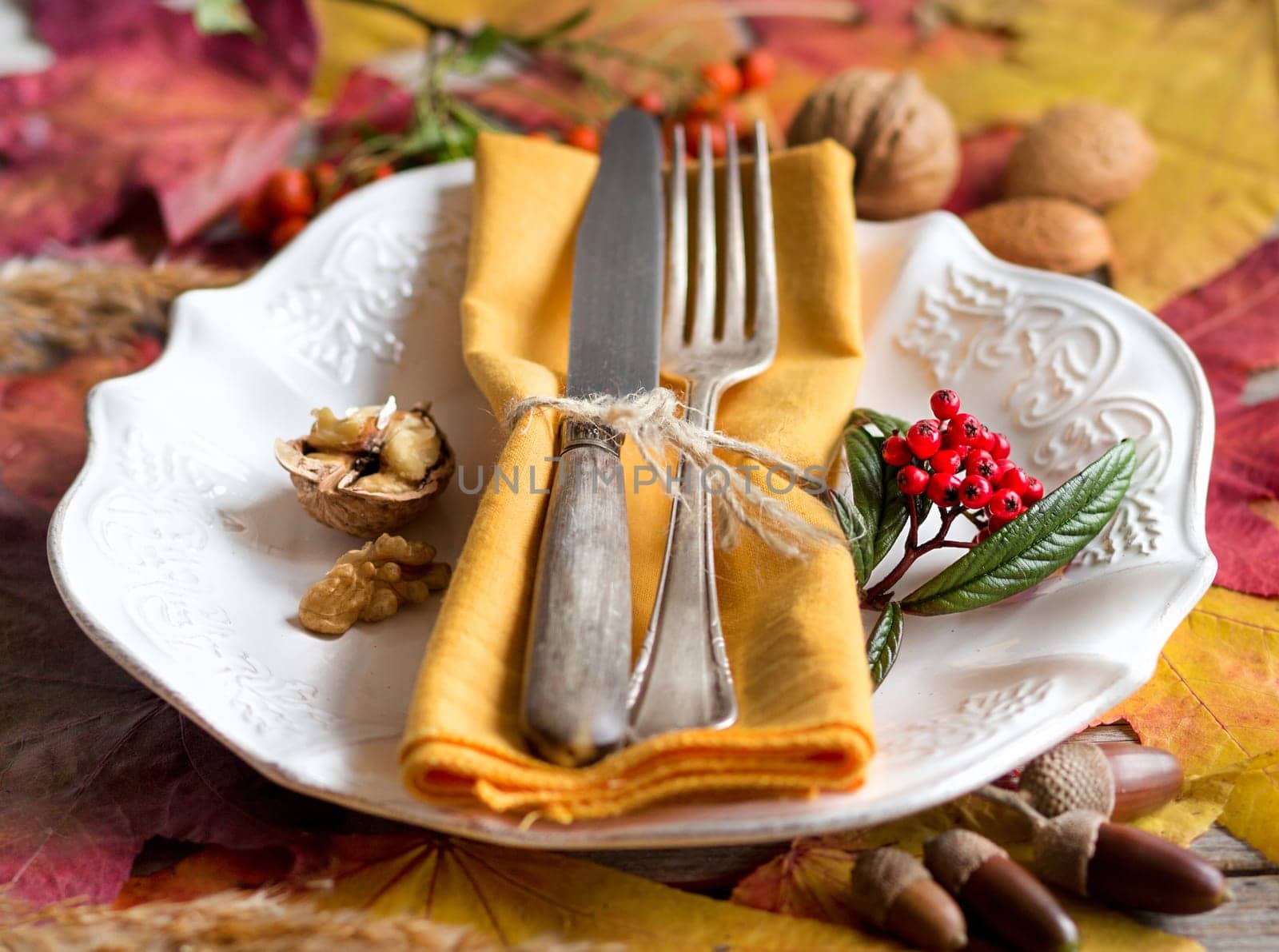 Autumn rustic table setting with berries, leaves, acorns and nuts