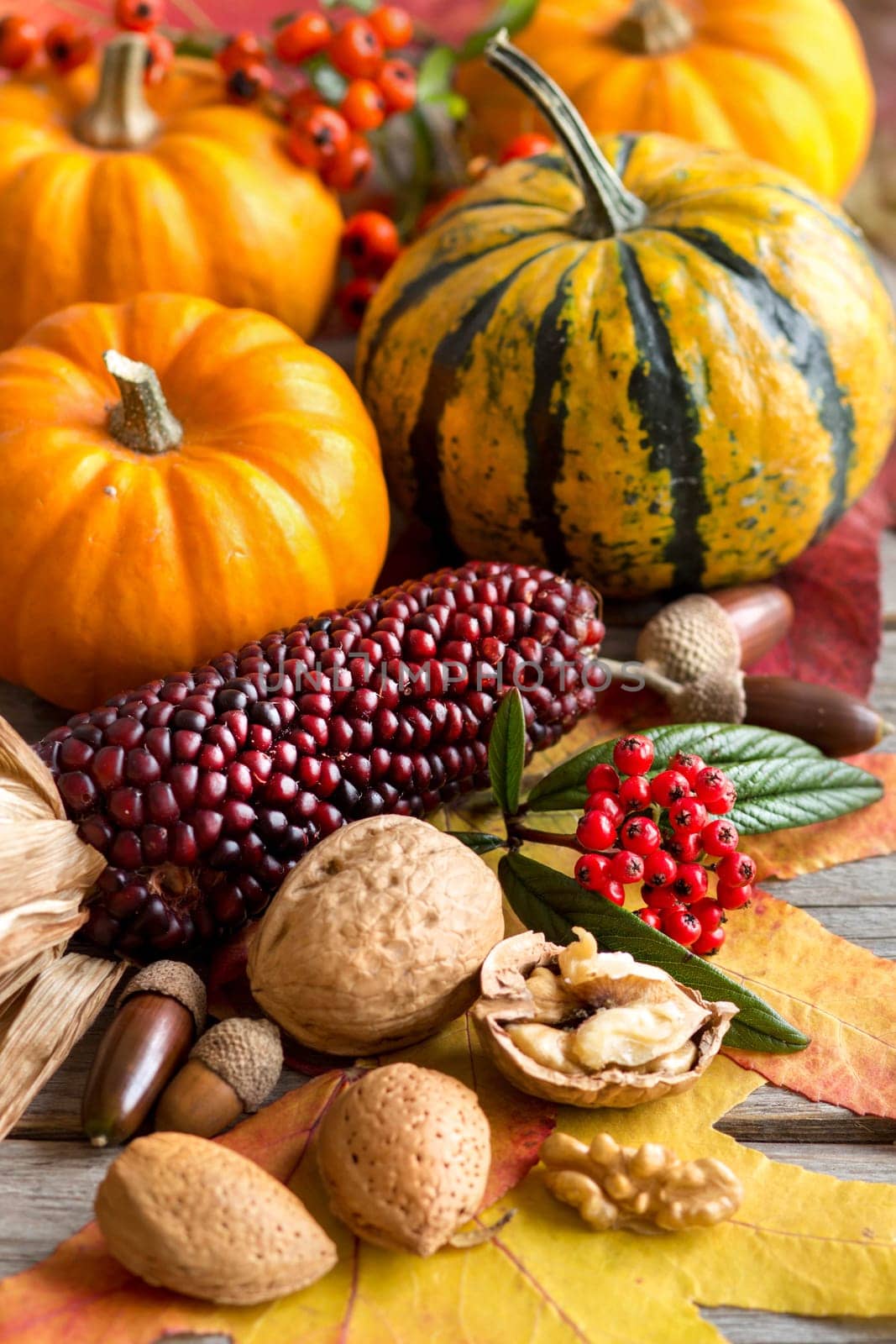 Autumn composition with pumpkins, berries, nuts and corn