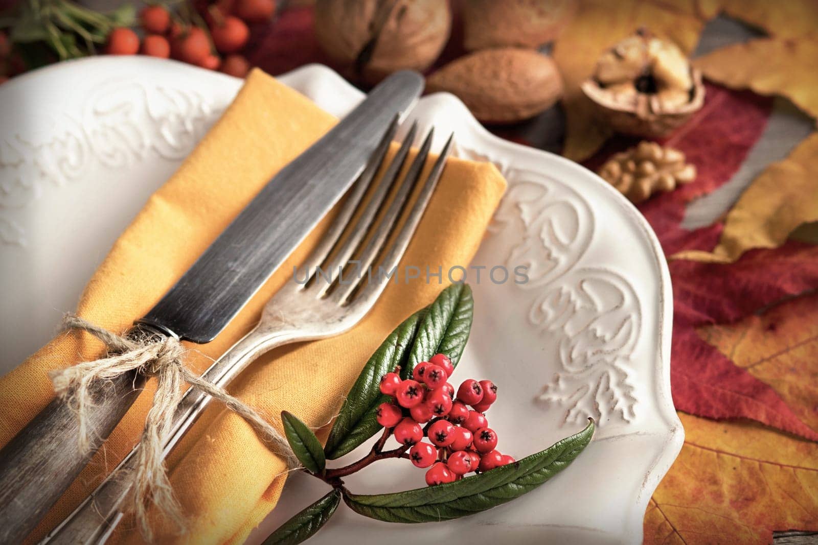 Autumn rustic table setting with berries, leaves and nuts