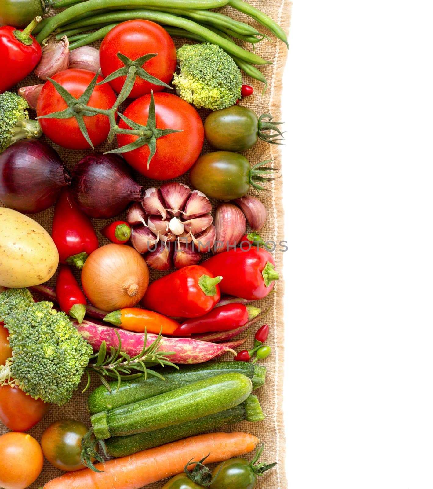Colorful vegetables border on a white background