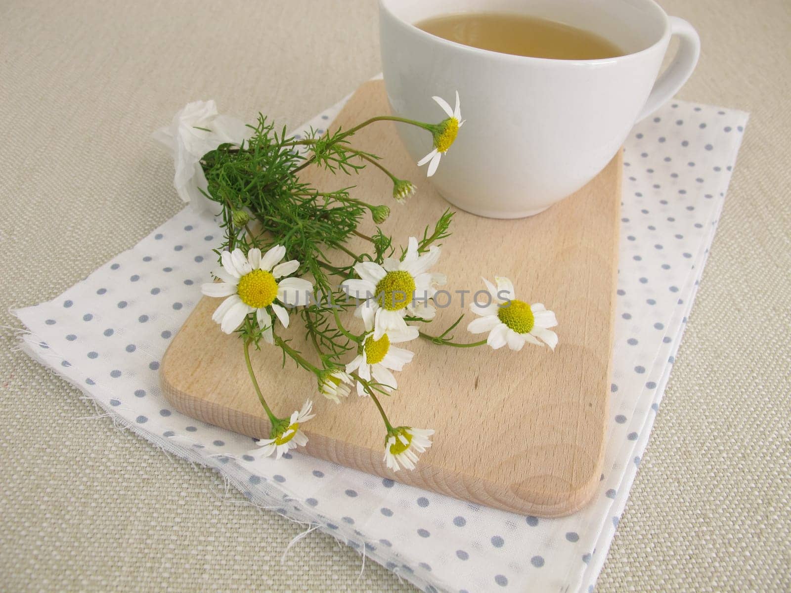 A cup of chamomile and chamomile flowers