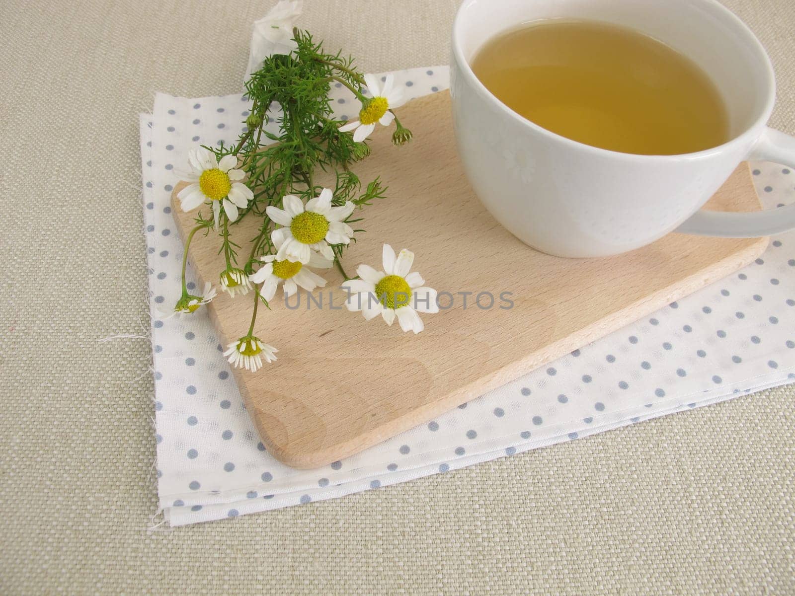 A cup of chamomile and chamomile flowers