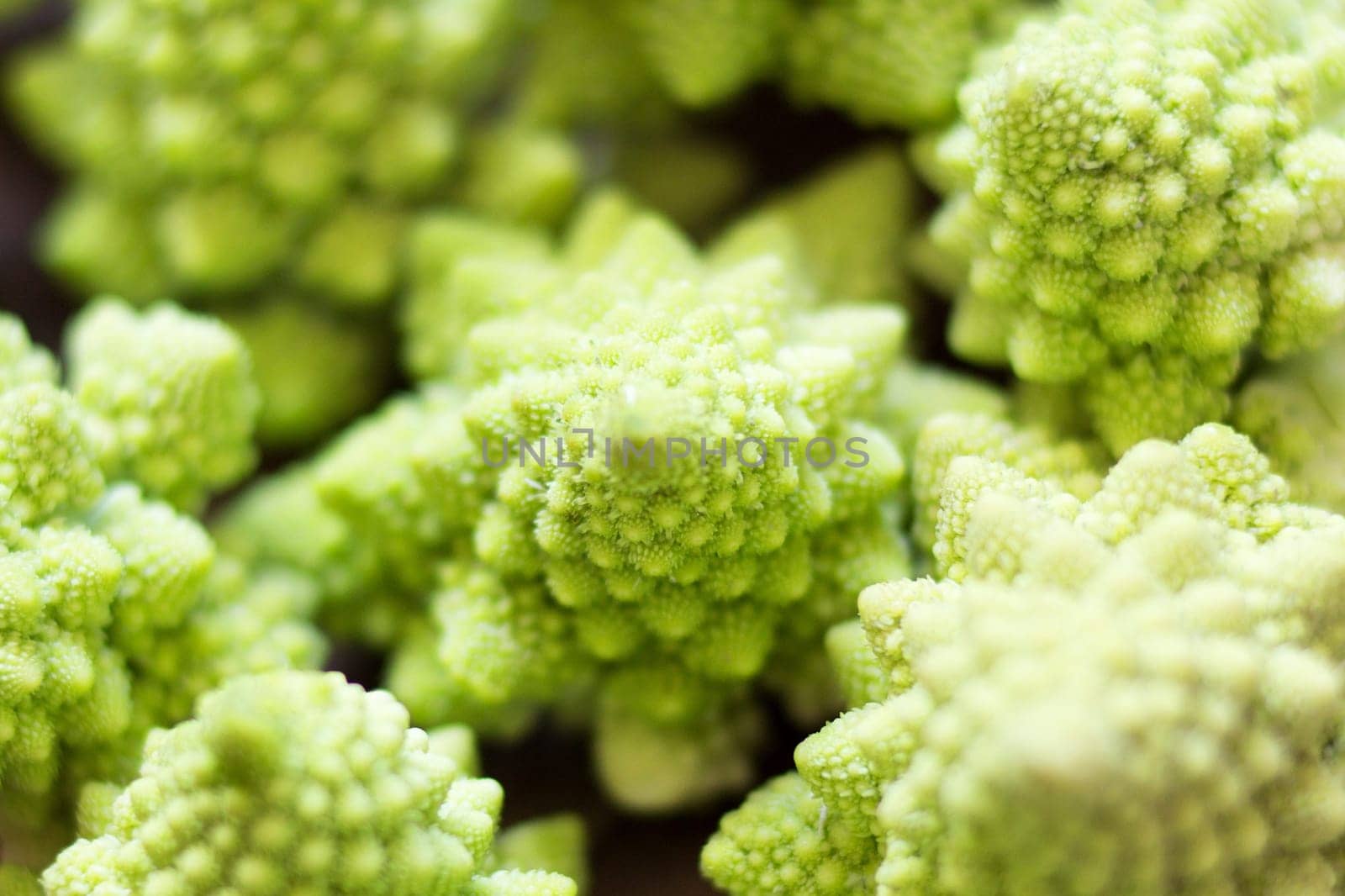 Romanesco cauliflower close up - natural approximation of a fractal