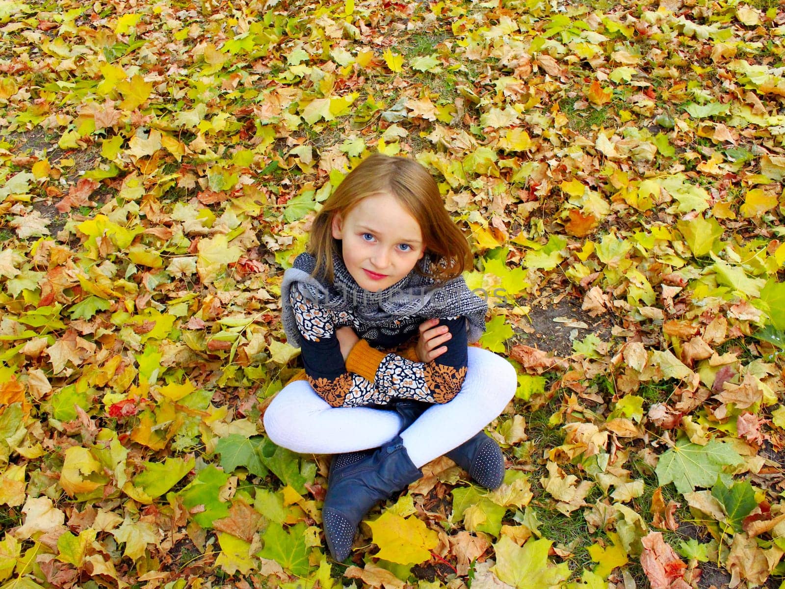 girl sits on the yellow leaves in the Autumn park