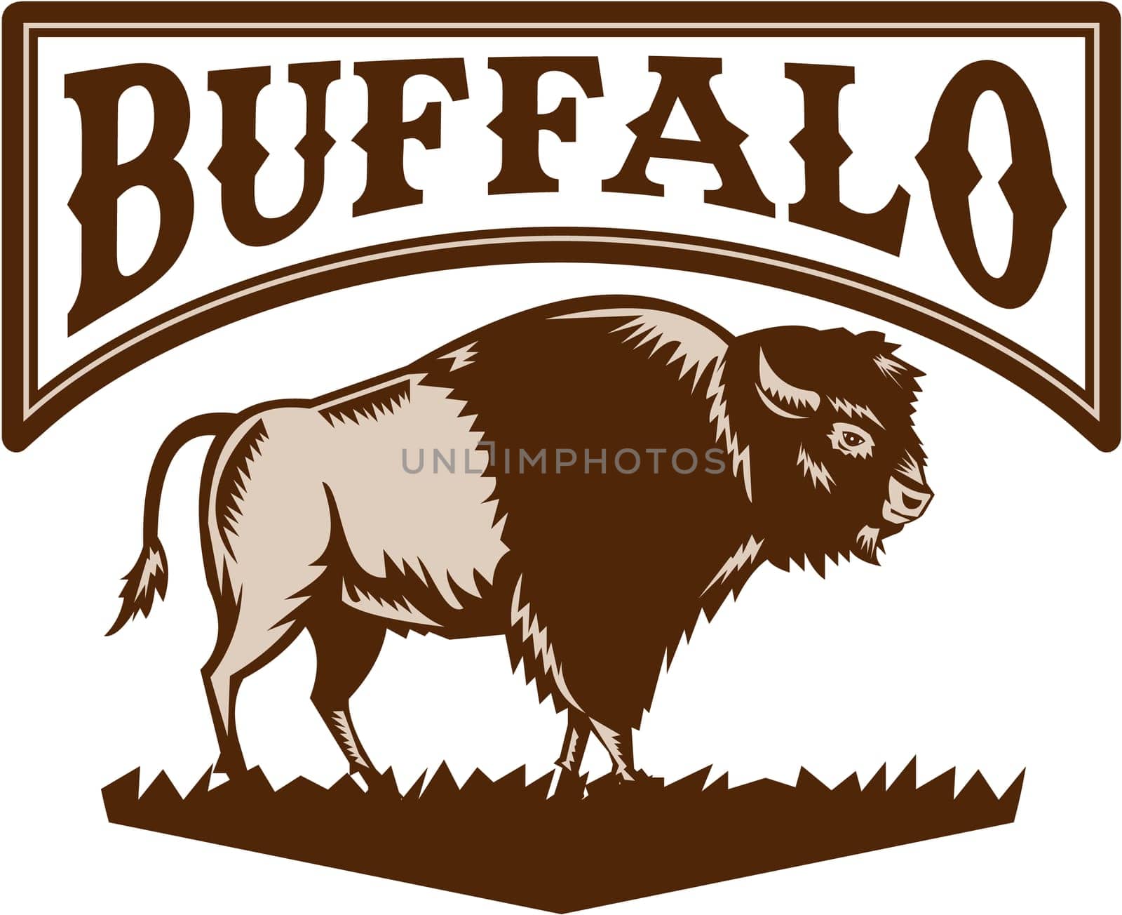 Illustration of an American bison or buffalo viewed from the side set on isolated white background with the word text Buffalo done in retro woodcut style.