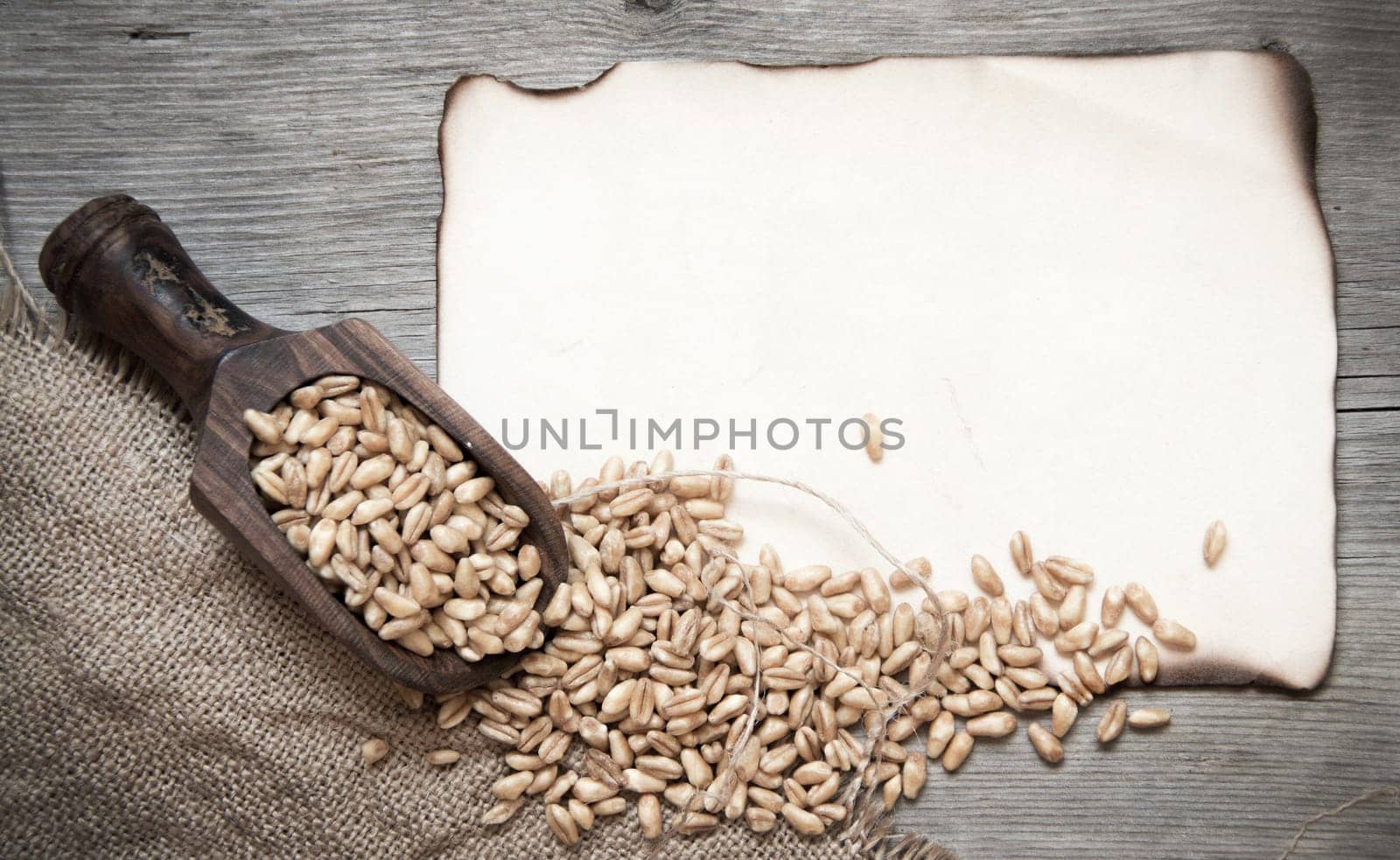 Retro background with wheat grains