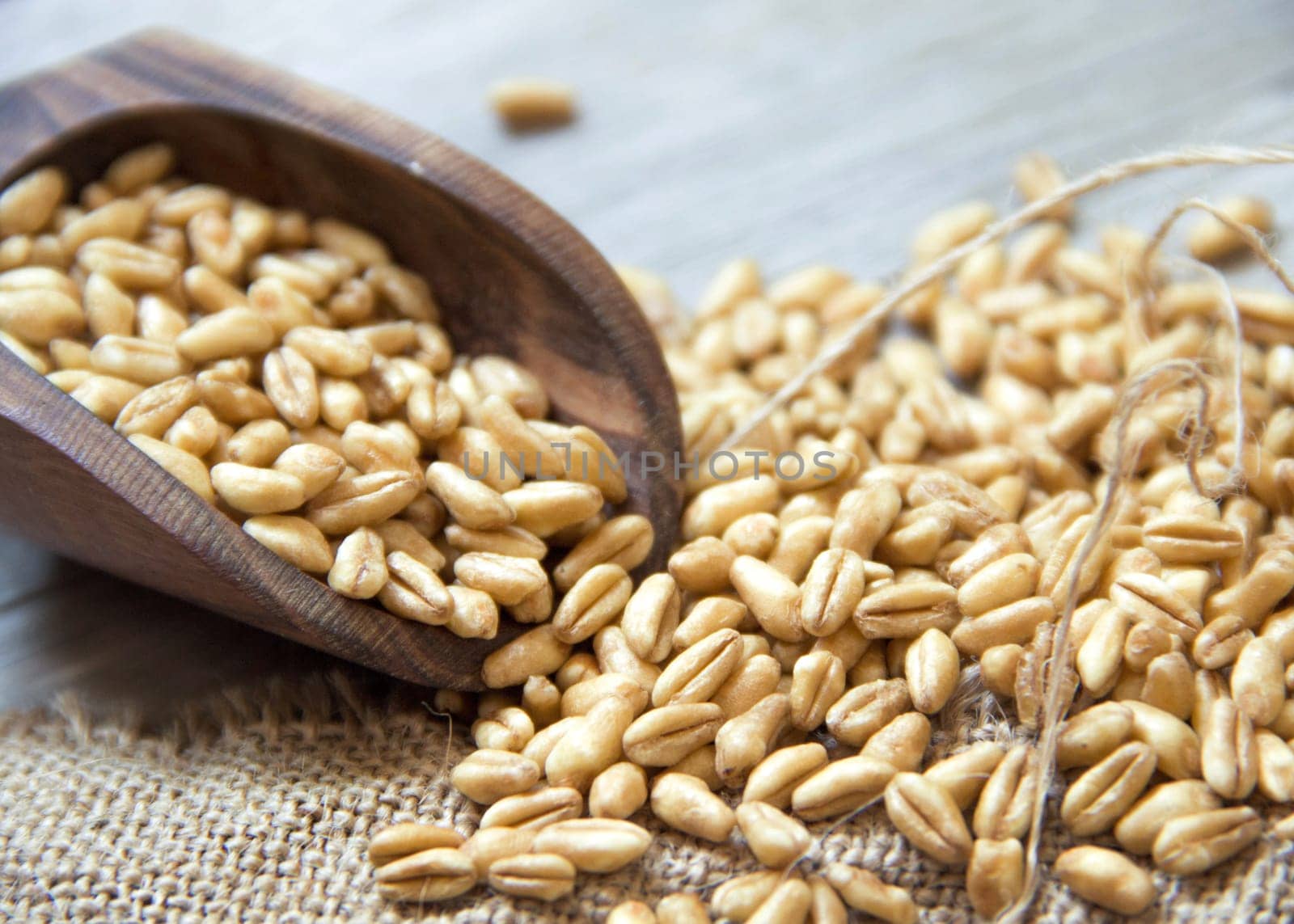 Wheat grains in wooden spoon
