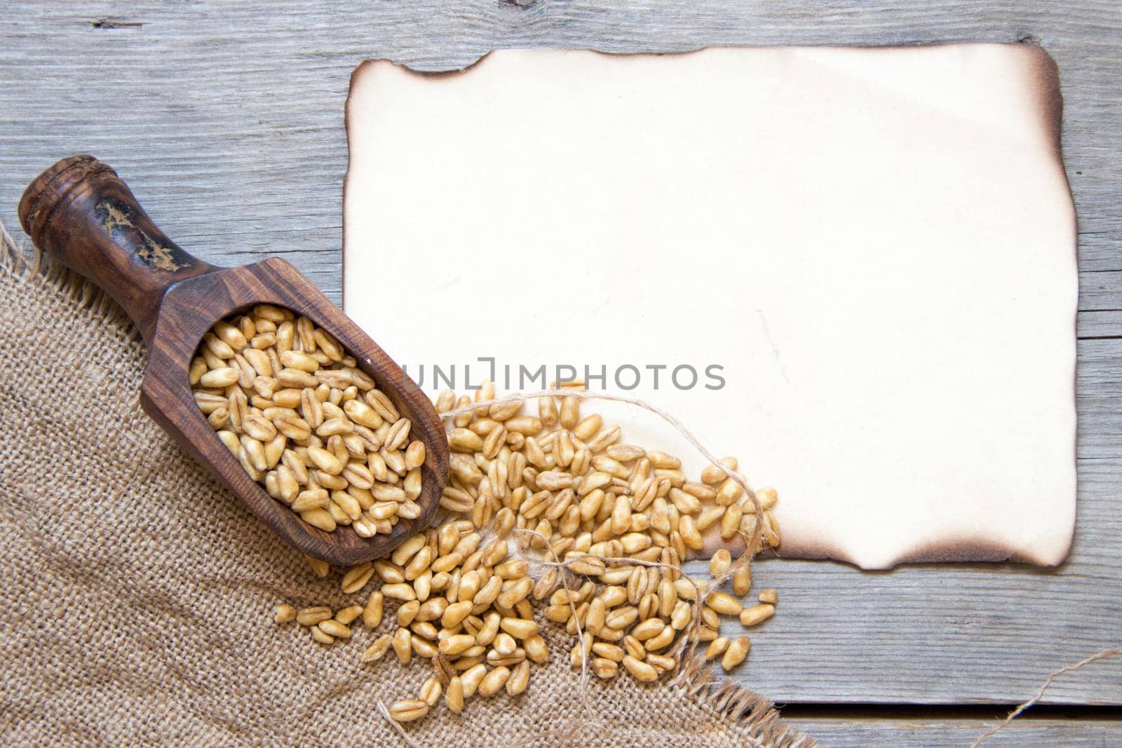 Background with wheat grains