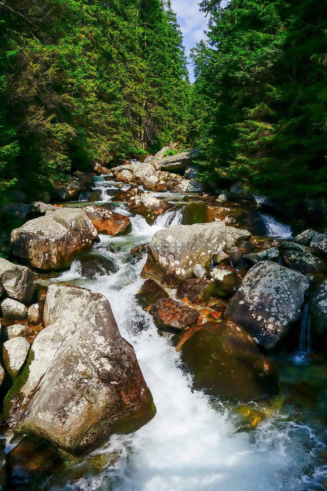 Mountain creek in High Tatra Mountains, Slovakia