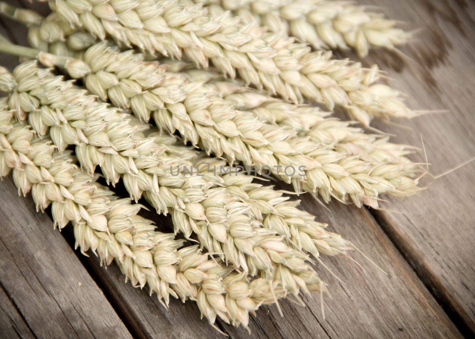 Rye on the dark wood - retro background