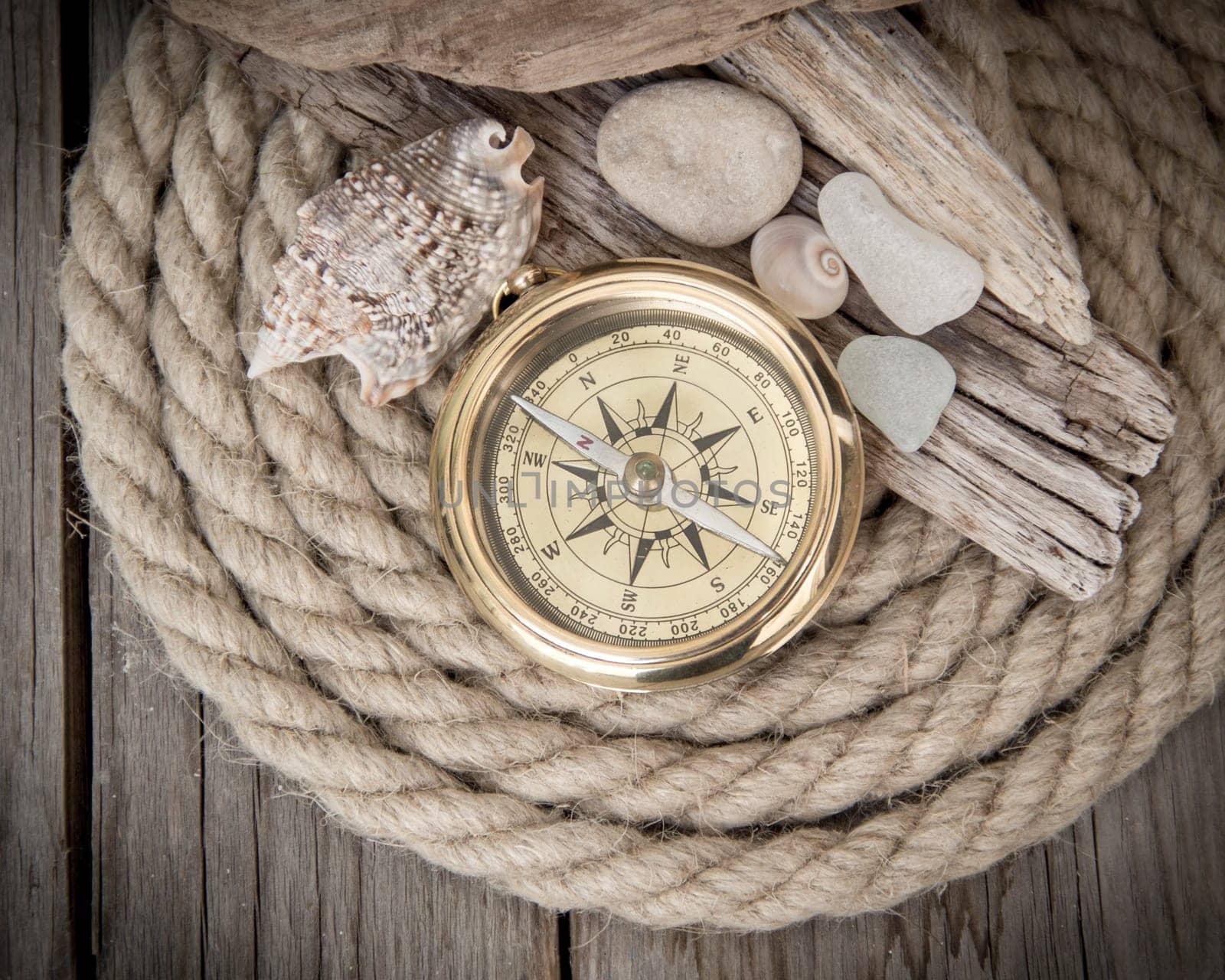 Sea adventures background