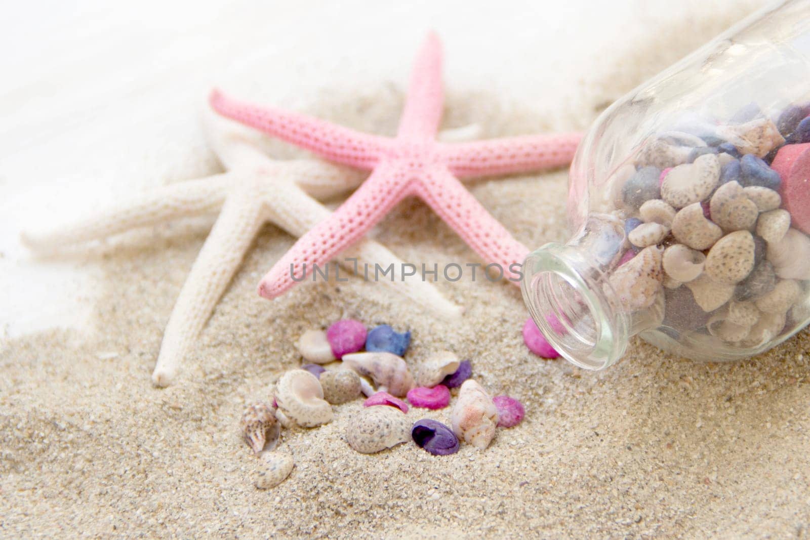 Sea shells and starfish on sand