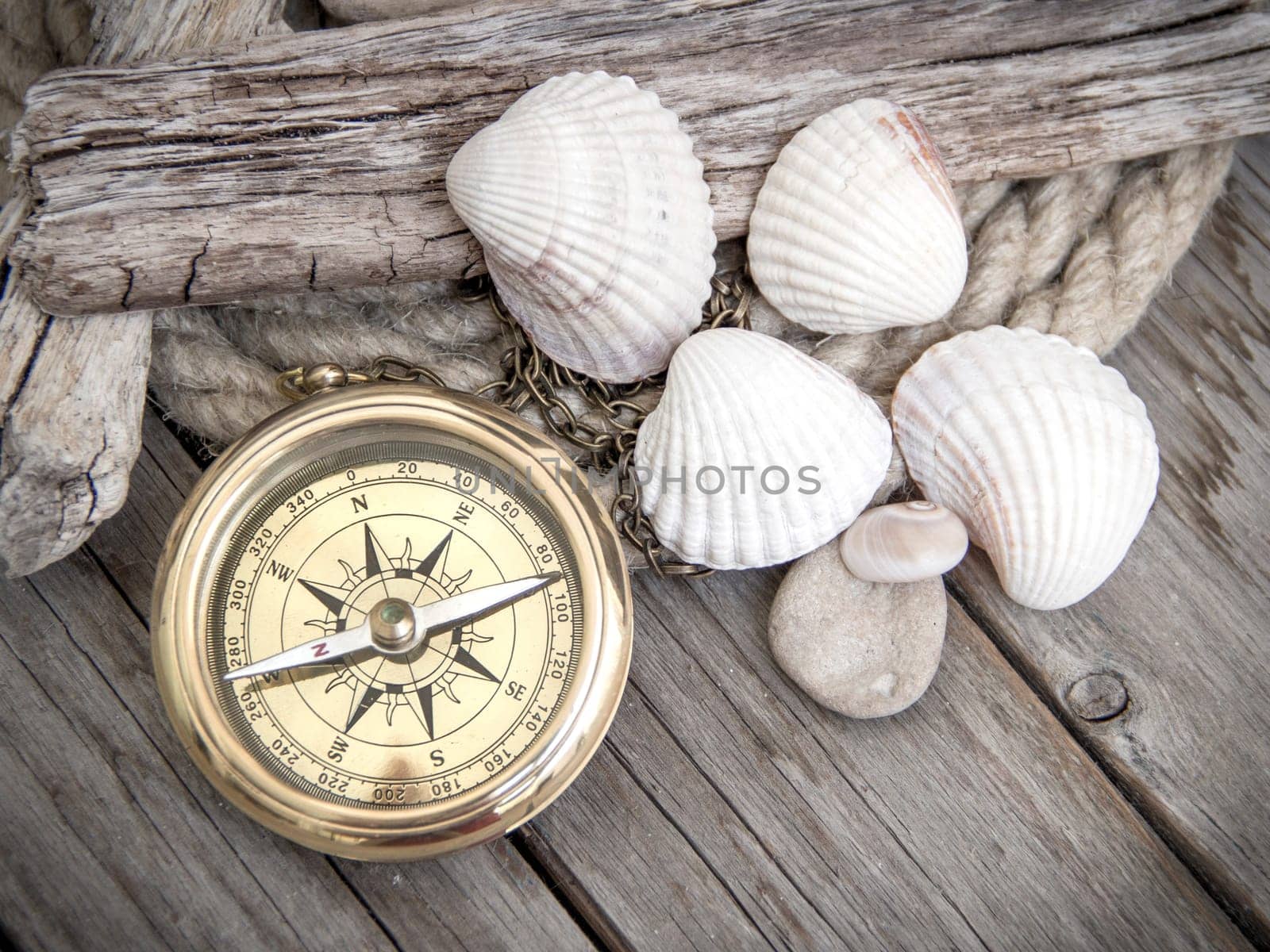 Exploring background with compass and seashells