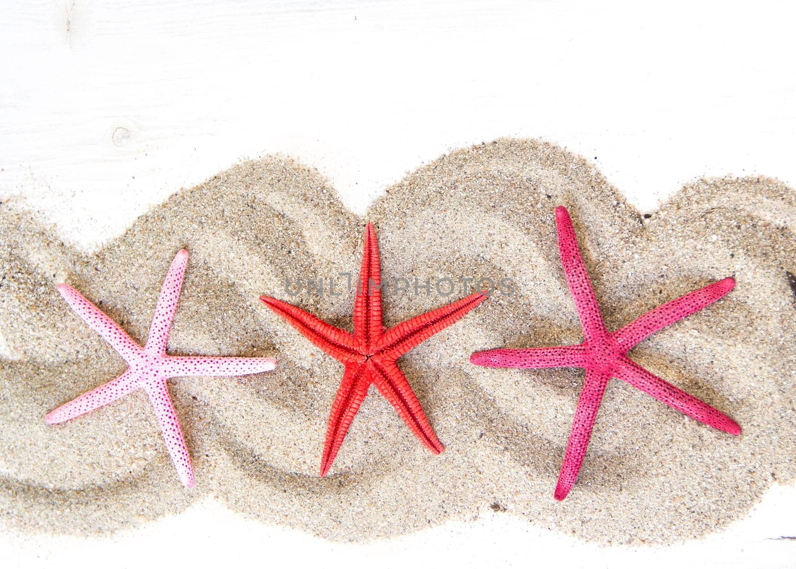 Starfishes on sand