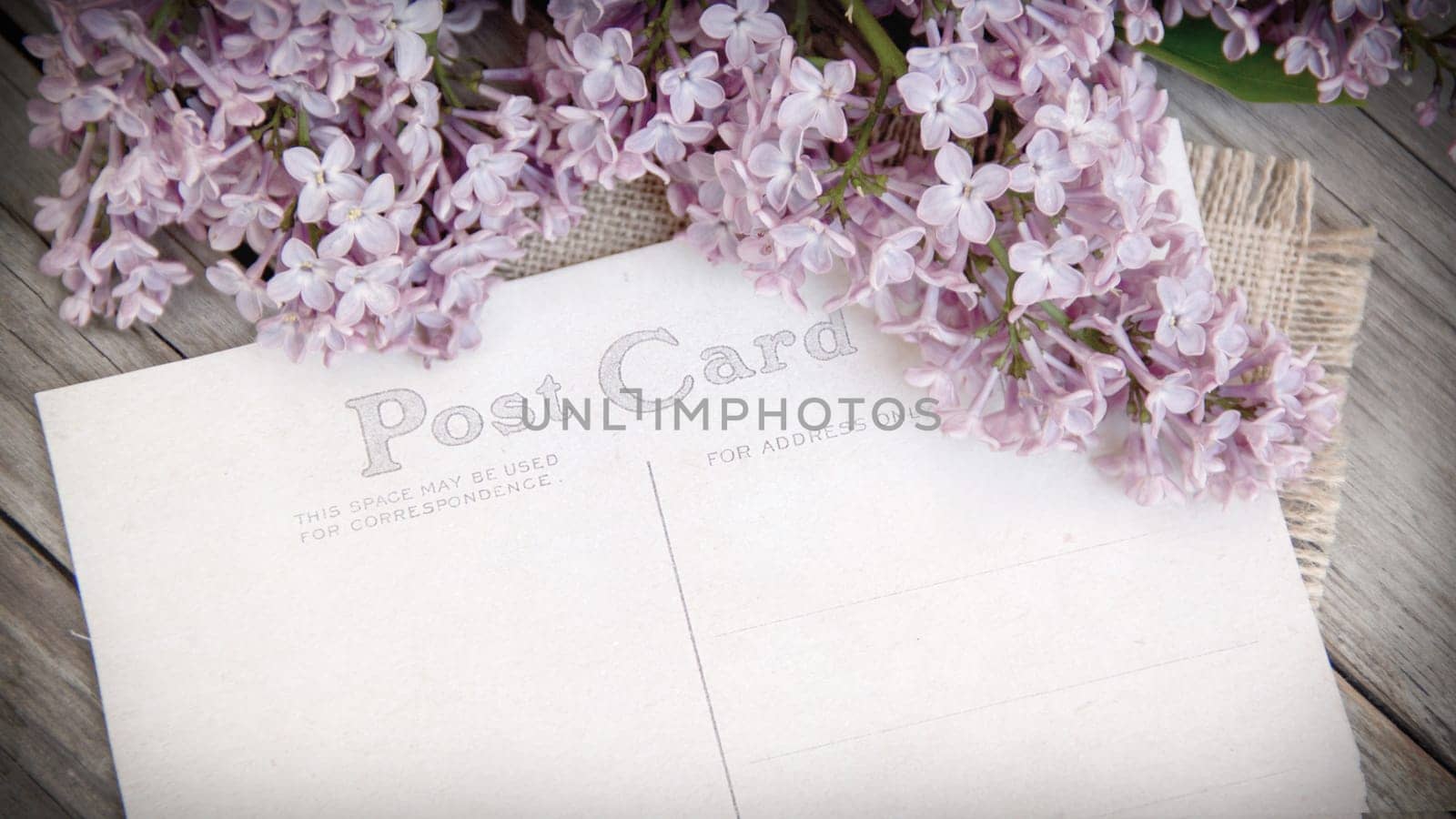 Lilac and postcard on weathered wood