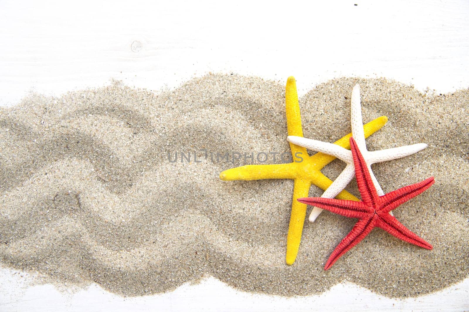 Starfishes on sand